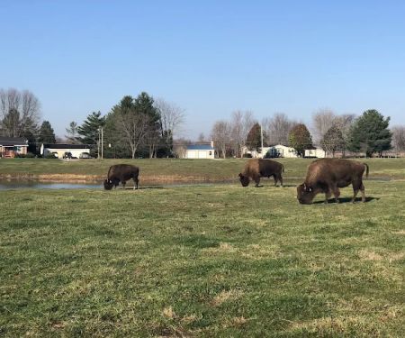 Adams Cooling Tower Inc