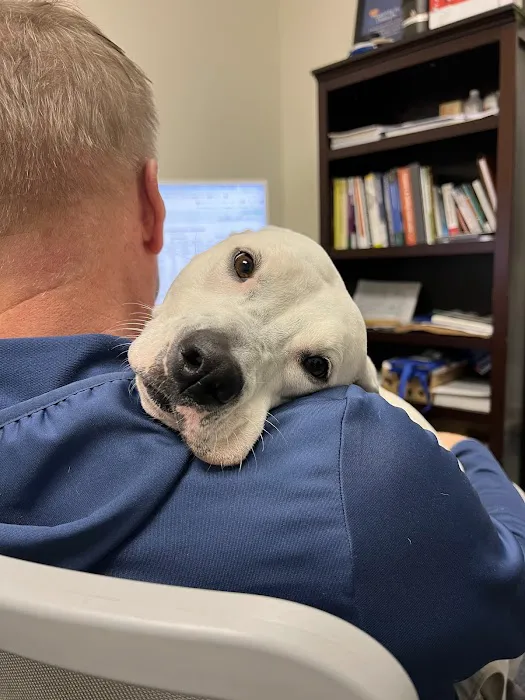 Mechollage, Inc. Picture 5