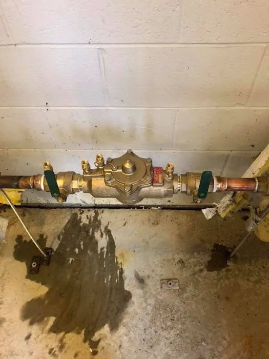 New Day Mechanical Picture 5