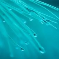 Access Heating and Air, LLC ico