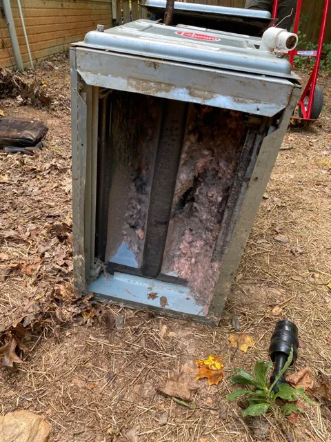 GreenBoots, LLC Picture 5