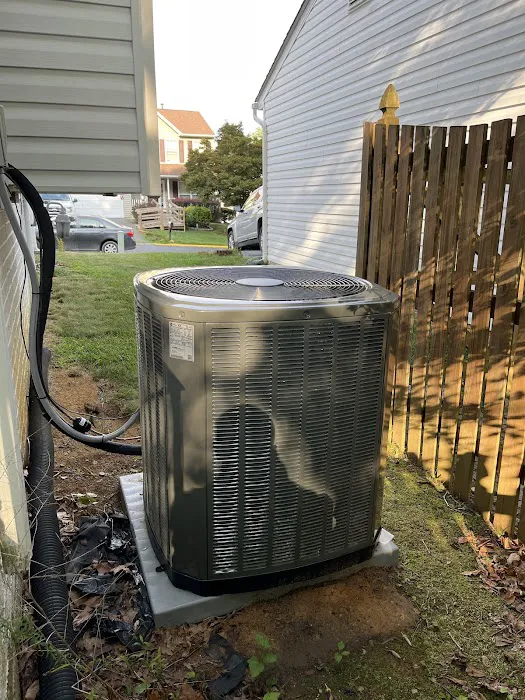 GreenBoots, LLC Picture 2