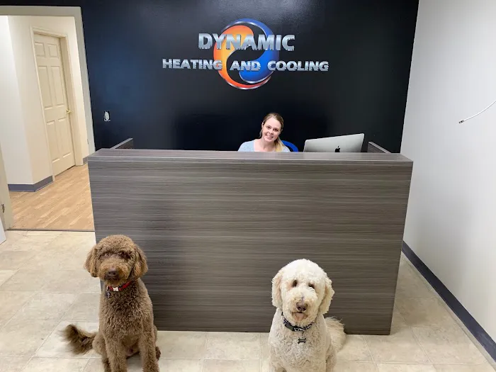 Dynamic Heating and Cooling Picture 3