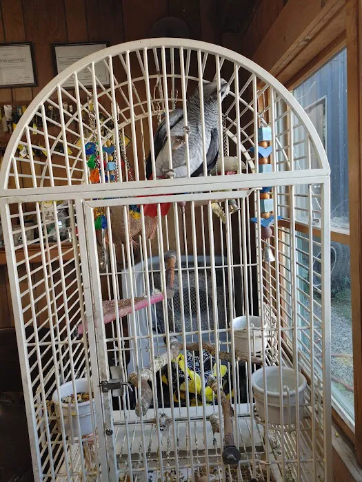 Outer Banks Automotive Repair Picture 2