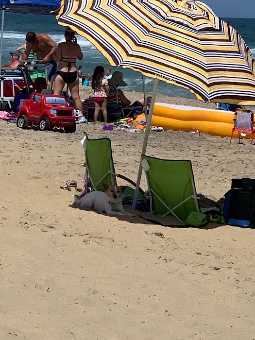 Rascoe's Refrigeration & Air Conditioning Picture 5