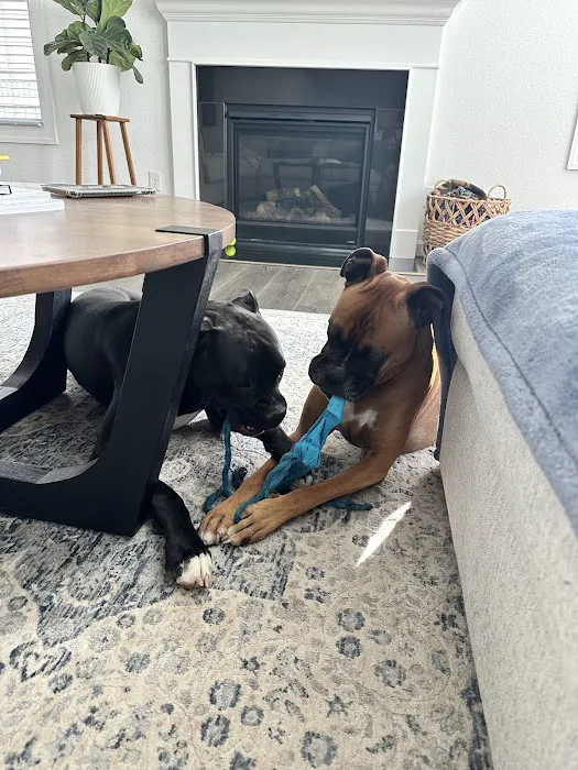 Fusion Heating, Air Conditioning & Insulation Picture 1