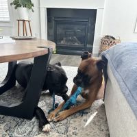 Fusion Heating, Air Conditioning & Insulation ico