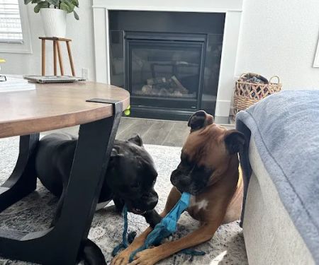 Fusion Heating, Air Conditioning & Insulation