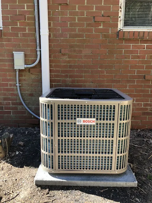 McQueen Mechanical Picture 2