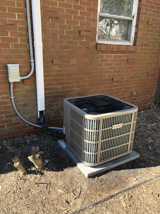 McQueen Mechanical Picture 1