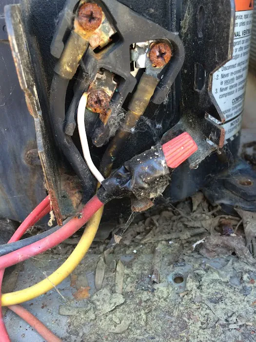 Elite Service & Enterprises, LLC Picture 3