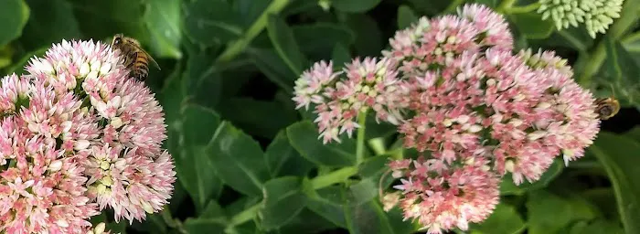 Jimmy Davis Heating & Cooling Picture 1