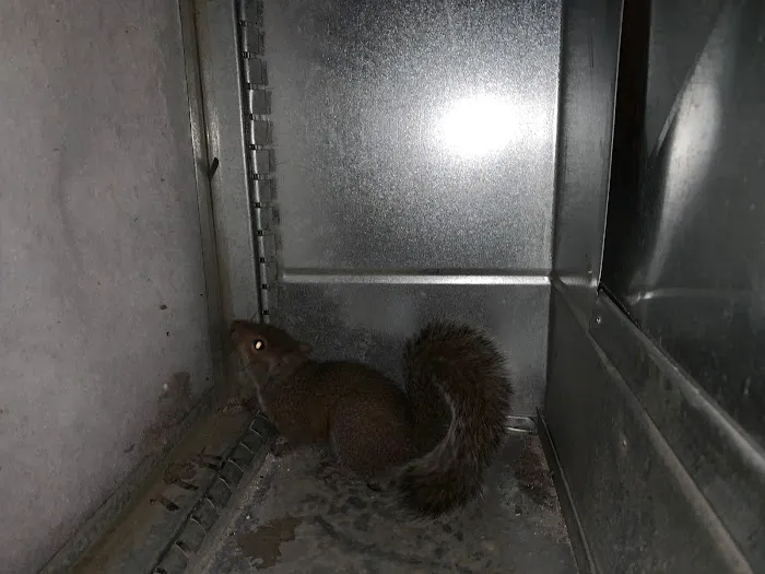 JE Heating & Cooling LLC Picture 7