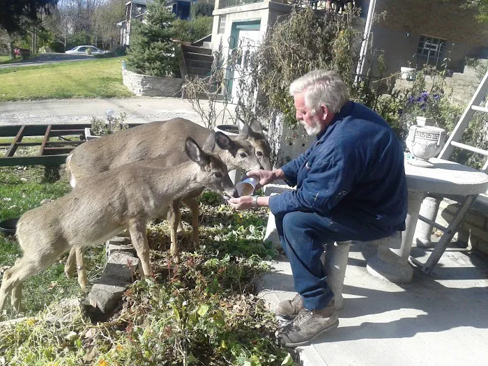 Kiefer Heating & Air Conditioning, LLC Picture 5