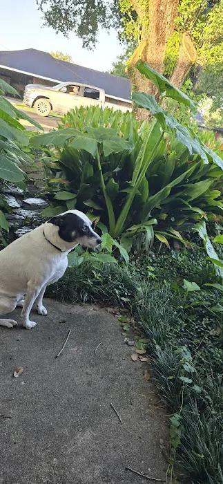 Butcher Air Conditioning Picture 1