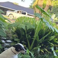 Butcher Air Conditioning ico