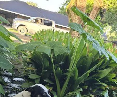 Butcher Air Conditioning