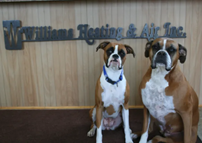 Williams Heating & Air Picture 2