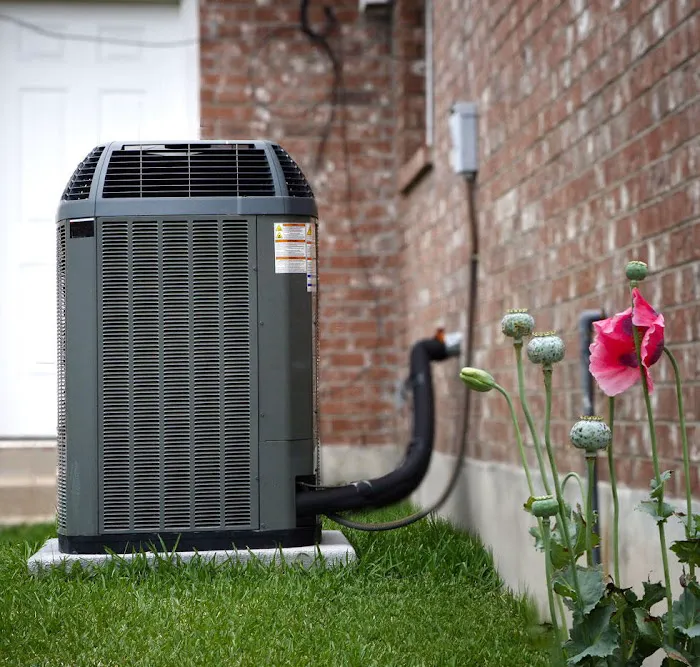 Peters', Inc. Picture 5