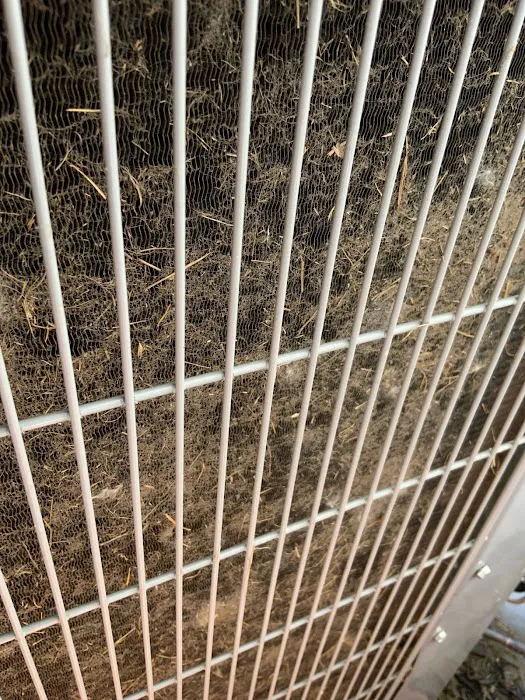 Loesch, LLC Picture 7