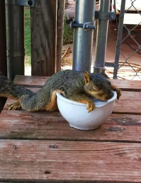 Wolfla Heating & Cooling Picture 2