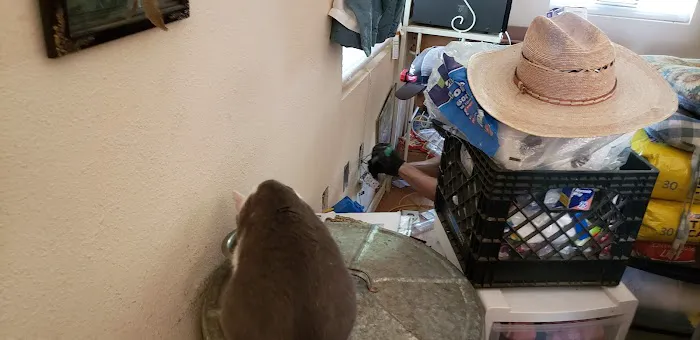 Steve Hester & Sons, LLC Picture 1