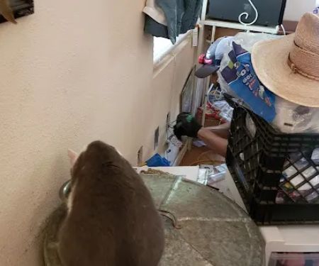 Steve Hester & Sons, LLC