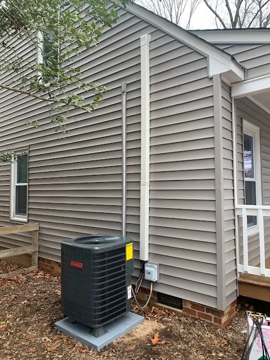 Bear Mechanical Picture 5