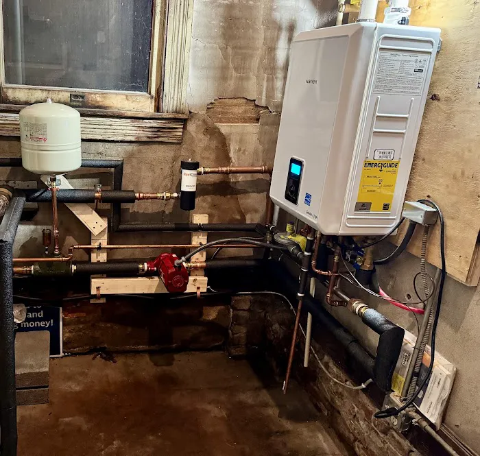 Bear Mechanical Picture 2