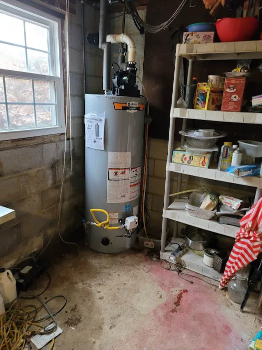 Bear Mechanical Picture 1