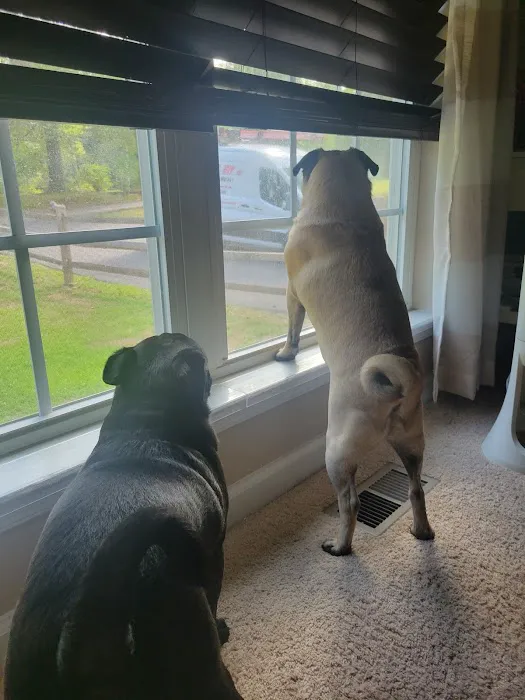 Loving Air Inc. Picture 1