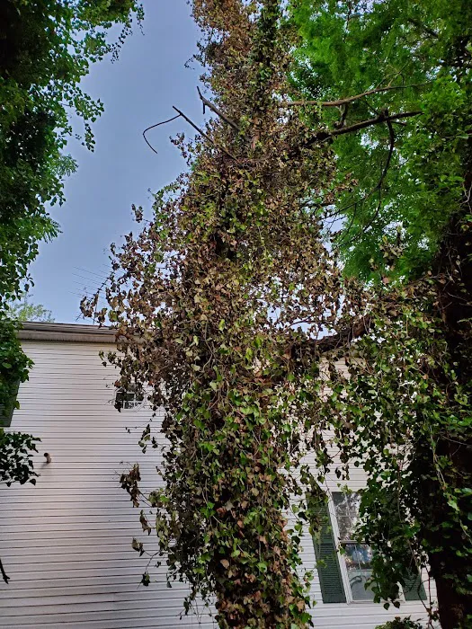 Four Seasons Heating & AC Picture 1