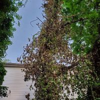 Four Seasons Heating & AC ico