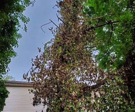 Four Seasons Heating & AC