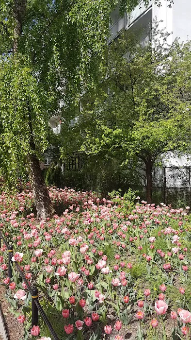 Cox Climate Control Picture 3