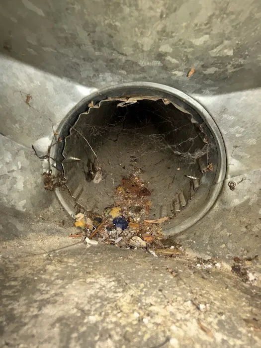 Kasper Mechanical Picture 2