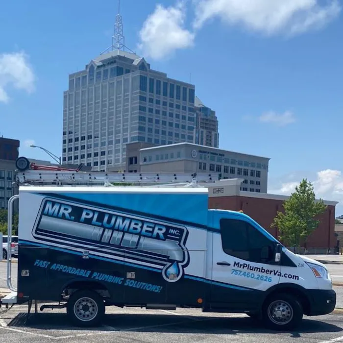 Mr Plumber Picture 2