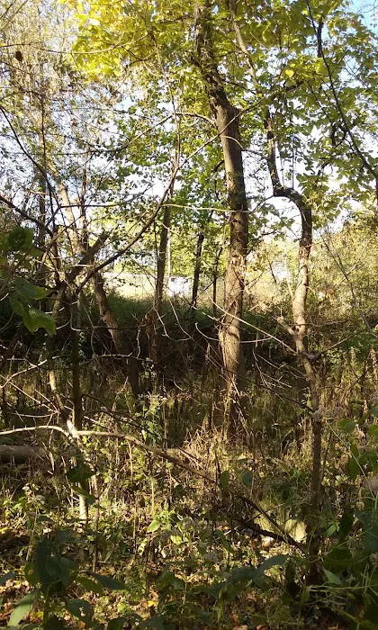 A-1 Sales & Service Picture 1