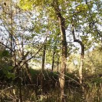 A-1 Sales & Service ico