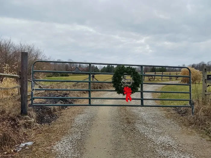 C W Payne Services Co Inc Picture 1