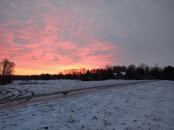 C W Payne Services Co Inc Picture 2