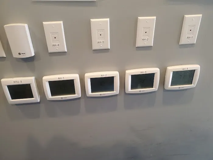 Carrion Air Picture 8