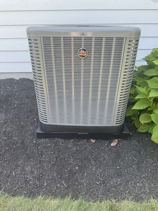 Carrion Air Picture 1