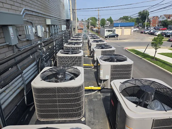 Carrion Air Picture 4