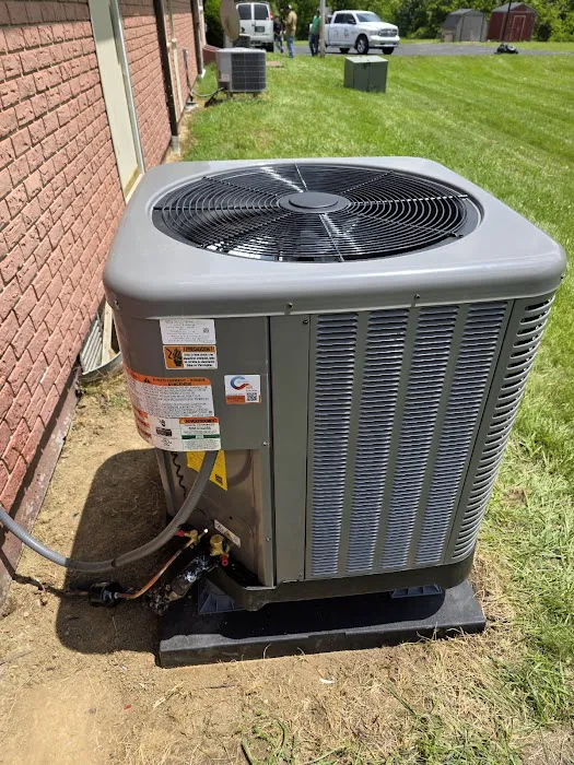 Carrion Air Picture 3