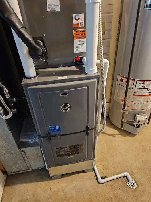 Carrion Air Picture 2