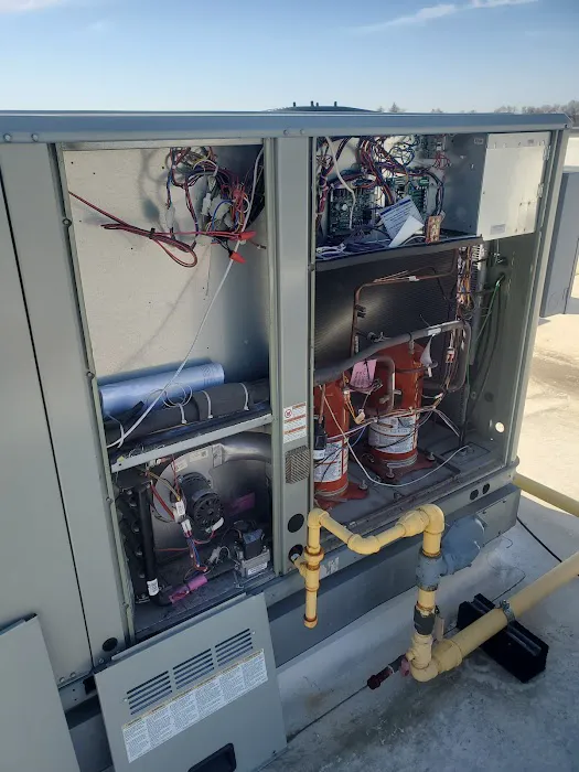 Carrion Air Picture 10