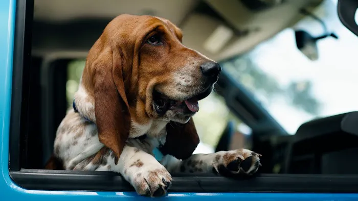 Thermo Pros Picture 5