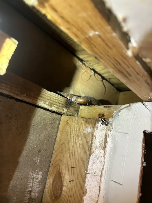 Thermo Pros Picture 3