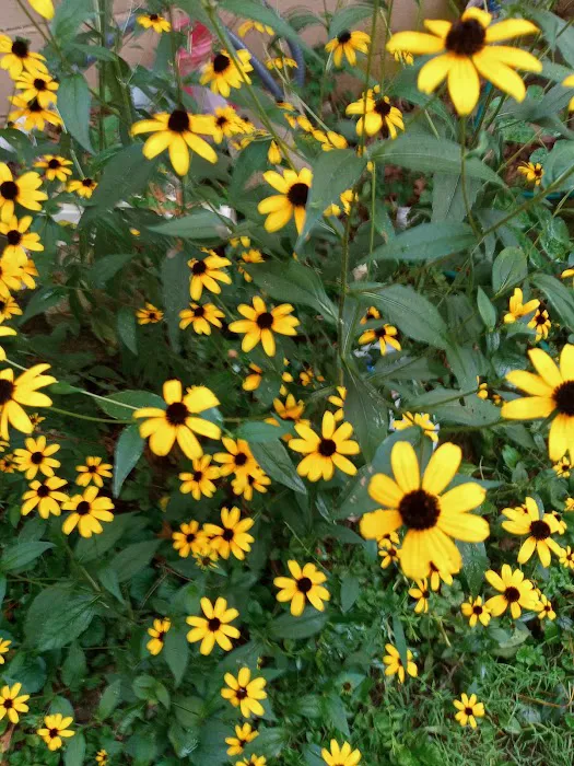 Franklin Air Conditioning & Heating Ser.Joe Estep Picture 4